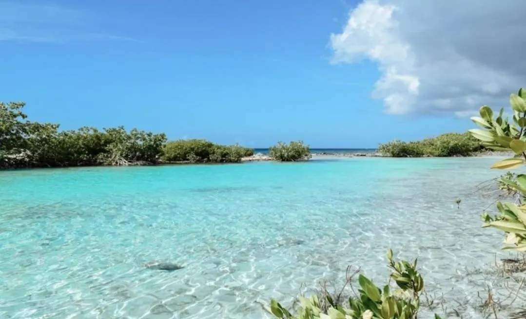 Lovely Villa Alegria W Private Pool & Location! Willemstad 0*,
